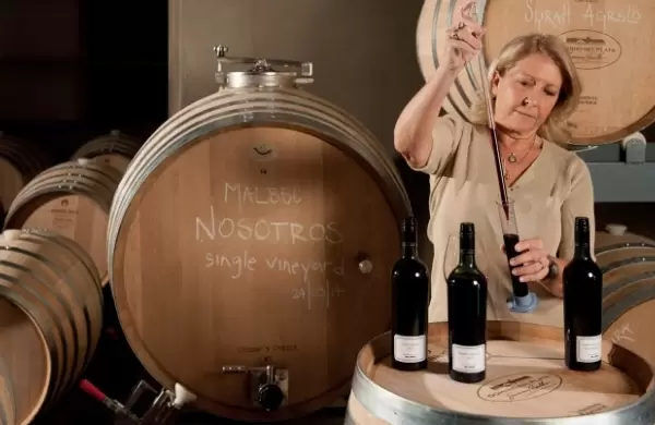 Vinos premium: los únicos que crecen en el mercado