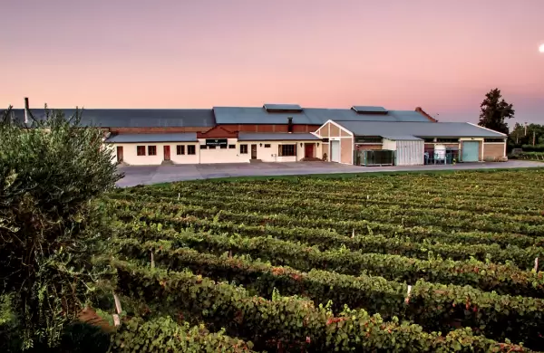 Bodegas centenarias: recorrer la historia