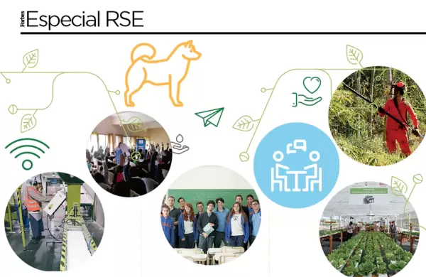 ¿En qué invierten las grandes empresas argentinas en RSE?