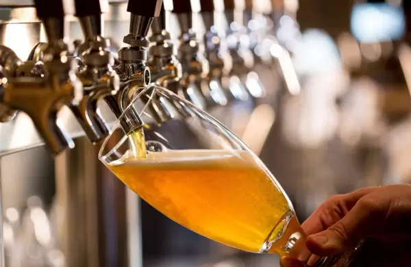 Tras invertir US$ 264.000, Patagonia suma cerveza orgnica a su portfolio permanente