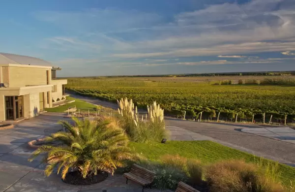 Bodegas argentinas: Recorrido entre copas