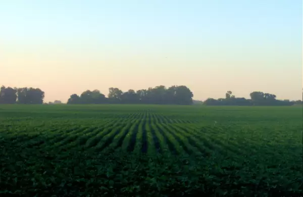 "Es un momento para entrar"