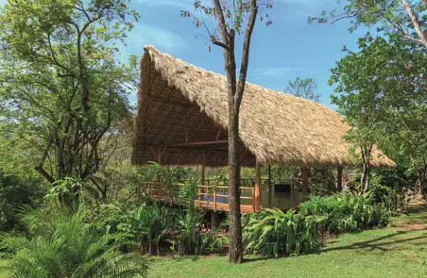 La nueva ley de la selva