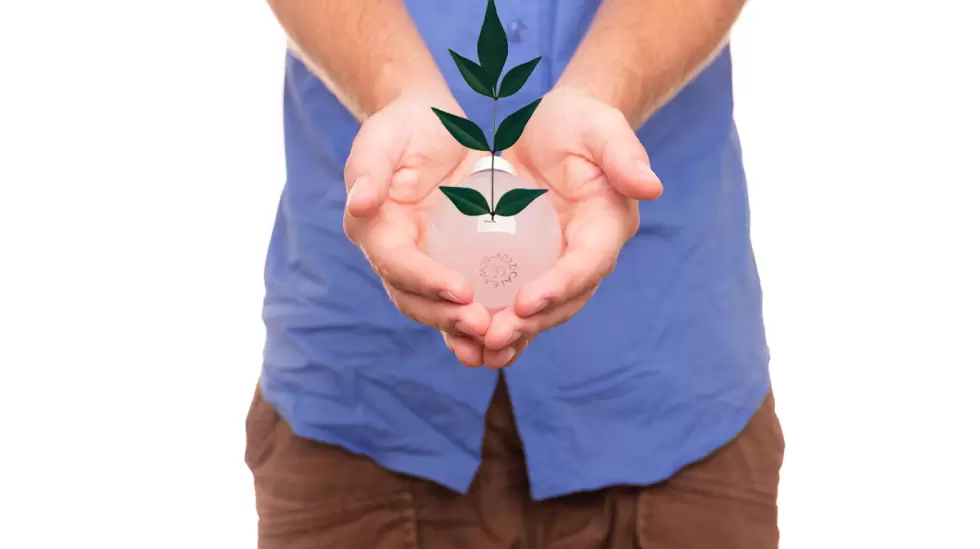 biomasa