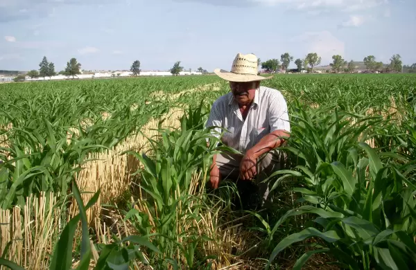 Las economías regionales piden "trato diferencial" en las retenciones