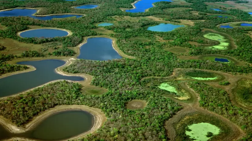 el-pantanal