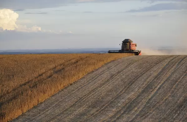 Argentina superó la sequía y volvió a convertirse en el mayor productor global de harina de soja