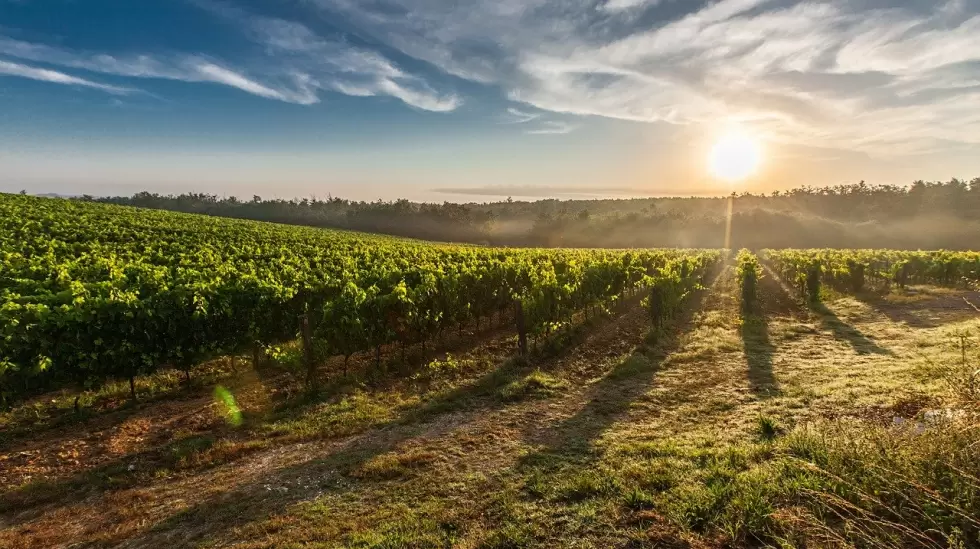 tuscany-428041_1280