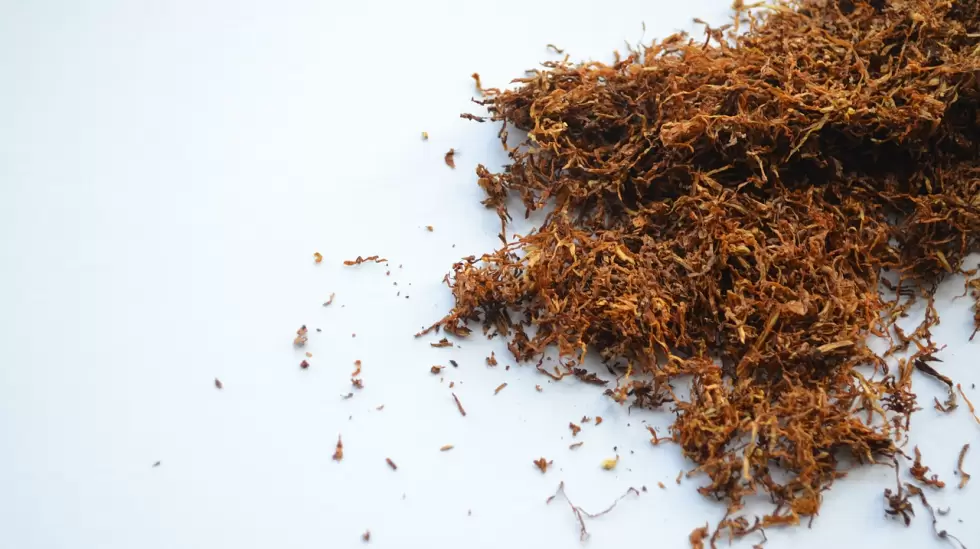 tobacco-19997_1280