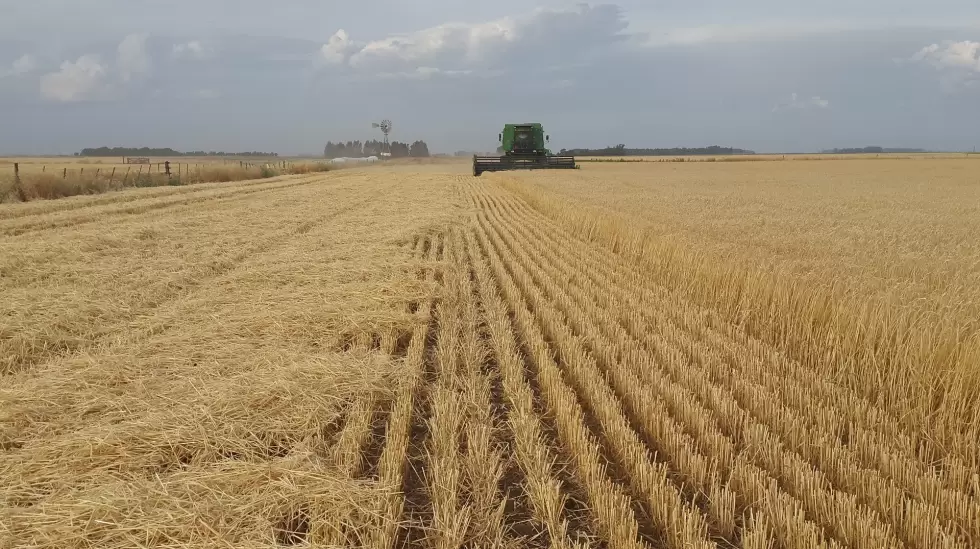 agro