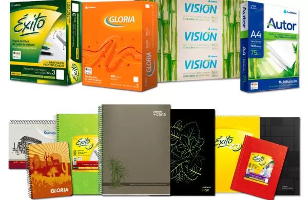 Grupo Ledesma explicó por qué tuvo que cerrar la papelera