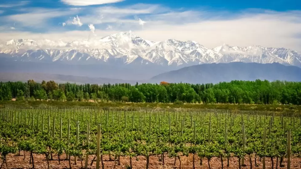 Mendoza, Viajes, Hoteles