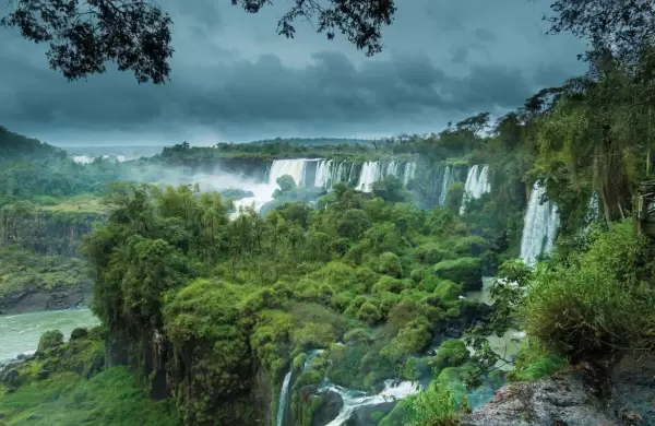 El charme de la selva: viejos nuevos atractivos de Iguaz
