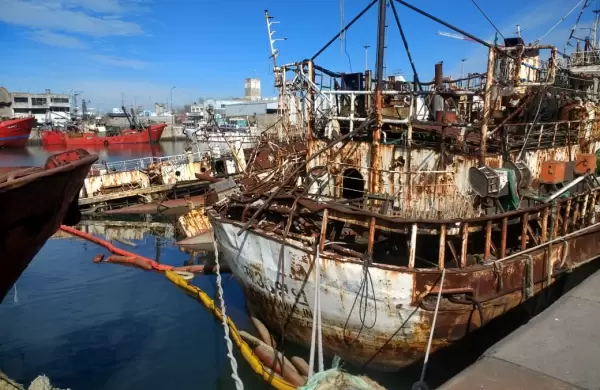 Caos y abandono en el Puerto de Mar del Plata