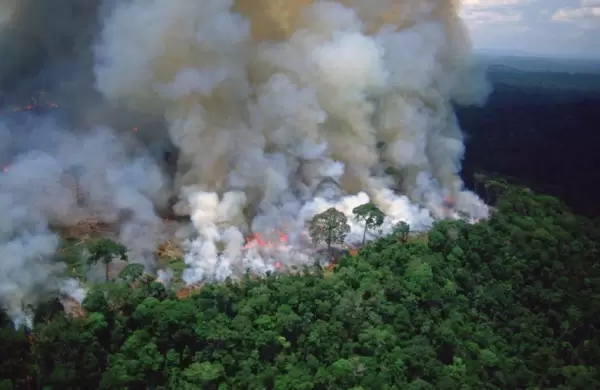 Macron bloquea el acuerdo UE-Mercosur por el fuego amazónico