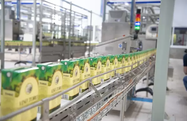 Fecovita, la cooperativa que produce Toro y 270 millones de litros anuales de vino