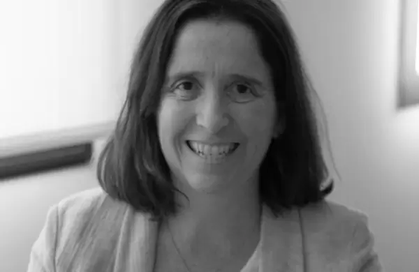 La economa en el ao electoral