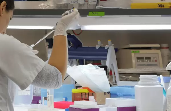 Cuáles son las 8 principales candidatas a vacuna del coronavirus que considera la OMS