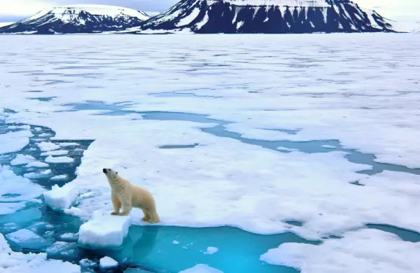 Se cerró el agujero de ozono sobre el ártico pero no es otro efecto del coronavirus