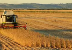 Los planes de Bayer para innovar en el negocio del agro