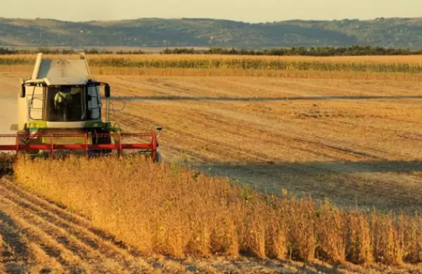 Los planes de Bayer para innovar en el negocio del agro