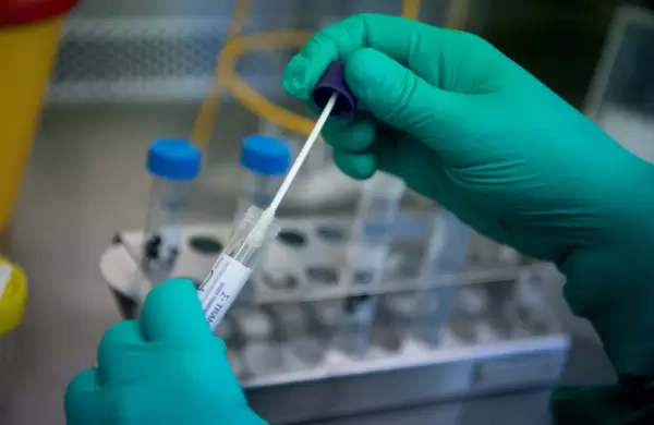 El Partido Republicano, alineado en la teoría de que el COVID-19 fue creado en un laboratorio de Wuhan