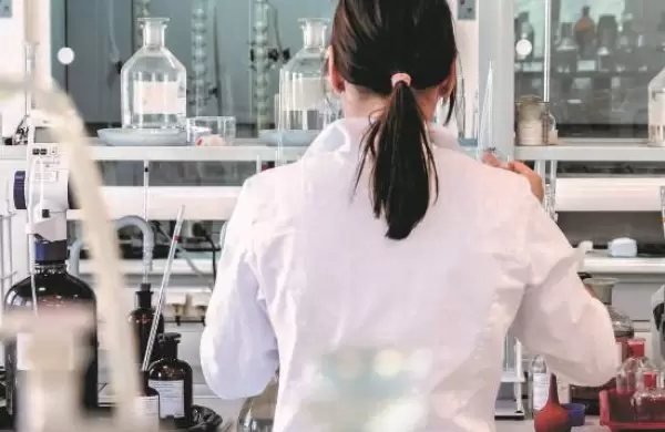 Descubren un mecanismo celular que ayudaría a combatir el Parkinson y el Alzheimer