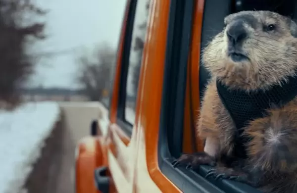 Todos los días son el día de la marmota: Jeep vuelve a Bill Murray para comunicar durante la cuarentena