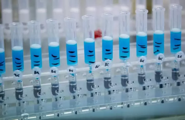 La historia secreta del primer coronavirus