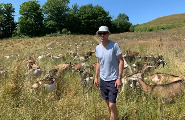 Un trader obtuvo un retorno de 4.144% en medio de la pandemia desde un criadero de cabras