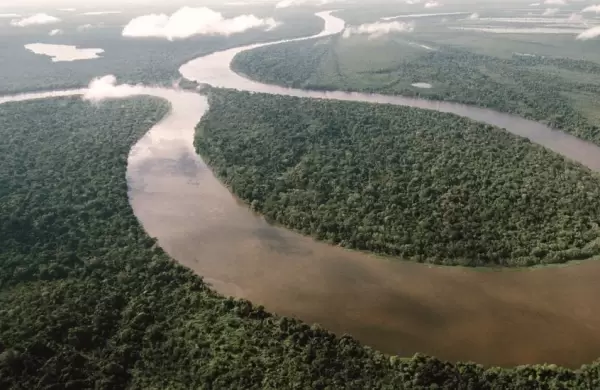 Rolex, las iniciativas de la marca para conservar el planeta