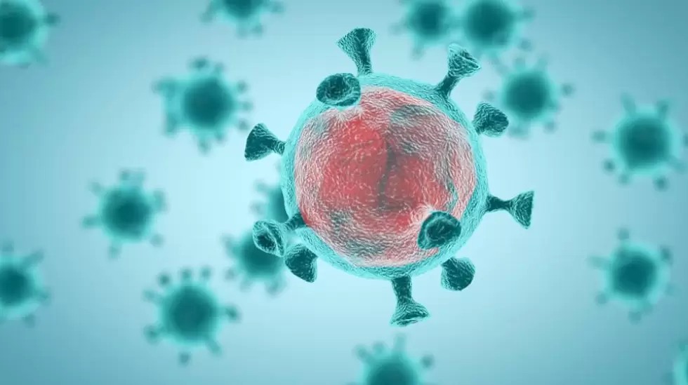 coronavirus-3