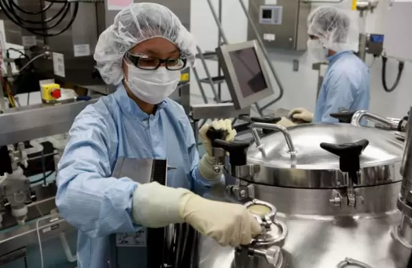 Cuáles son las 16 compañías del S&P 500 que sobrevivieron a la masacre de Wall Street