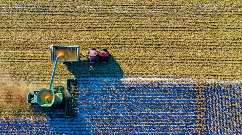 top-view-of-green-field-1595104