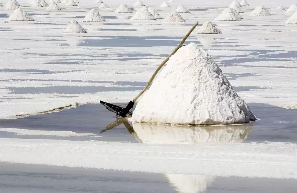 Tres provincias se unen para explotar el litio