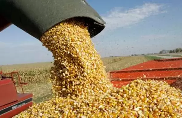 La AFIP realiz el mayor decomiso de granos de su historia