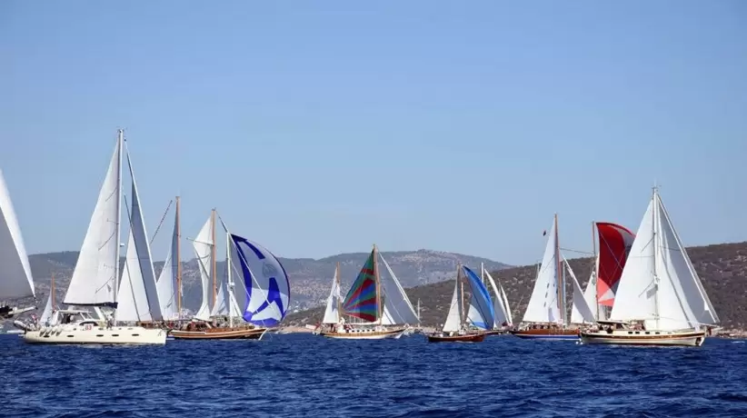bodrum-cup