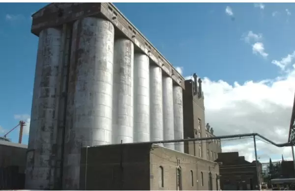 Molino Cañuelas, otra firma agroindustrial en problemas, negocia una deuda de US$ 1.400 millones