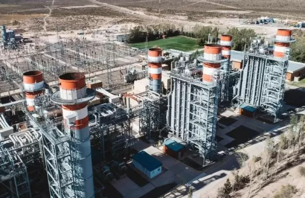 El gobierno pesificó los ingresos de las generadoras eléctricas