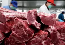 Prometen liberar de a poco la exportacin de carne