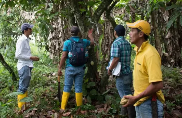 El tour con degustacin de chocolate ms caro del mundo sale US$ 25.000