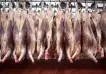 La exportación de carne registró en febrero la cifra más baja desde marzo de 2020