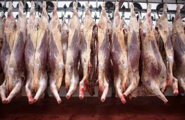 La exportacin de carne registr en febrero la cifra ms baja desde marzo de 2020