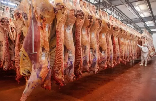 Cuánto creció la exportación de carne vacuna en 2019