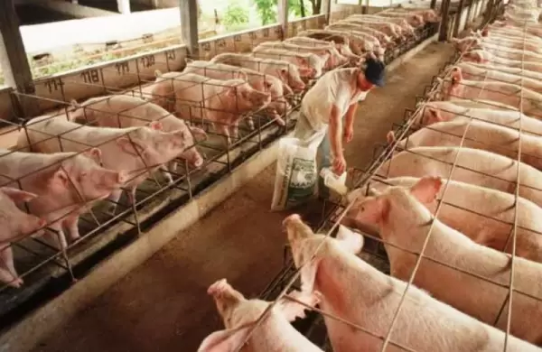 Ganadera: China interesada en invertir en Crdoba