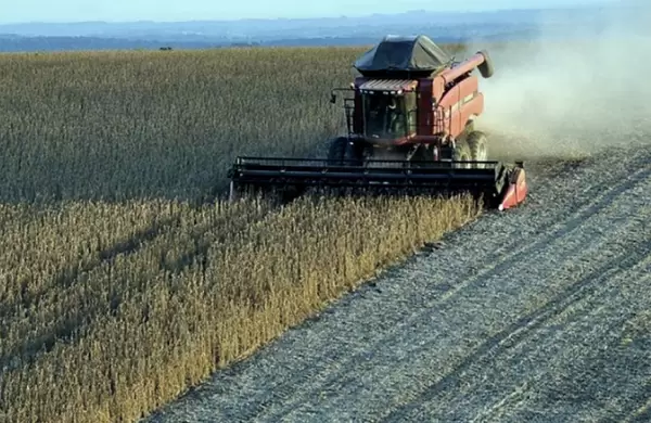 Proyectan una cosecha de granos histórica en Brasil