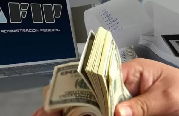 Según un trabajo académico, si una empresa pagara todos los impuestos, no podría seguir funcionando
