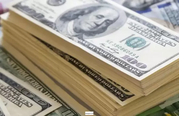 Cmo es el mecanismo del Banco Central para que las empresas puedan comprar dlares