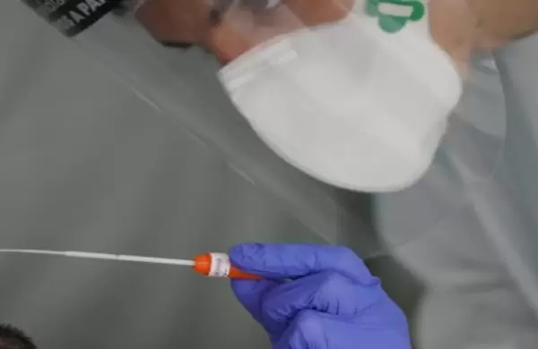 Vacuna para el COVID 19:  confirman que el Remdesivir lo previno en monos