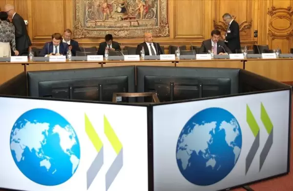 Para la OCDE, Argentina tendr la mayor cada del PBI de la regin